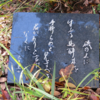 万葉集の世界に飛び込もう（その２６６０）―書籍掲載歌を中軸に（Ⅱ）―