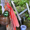 和宏花巡礼「雨の遊山」　水の恵み