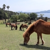 鹿児島県を行く