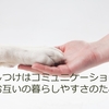 犬は私たちが思う以上に混乱しているのかもしれません