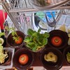 簡単に始めるリボべジ、大量に収穫することを期待しちゃダメ