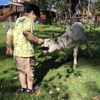 【2021年夏子連れ旅】八ヶ岳の宿