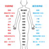 日常生活もままならない自律神経の不調でも改善可能！その理由とは？