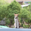 そんなに急いでどこへ行く