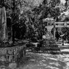 第1573回　かぐや姫と、古代の巫女との相関図。