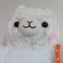 ritunokaze’s blog
