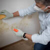 Just how to Recognize the Indicators You Need Mold Extraction in Toronto