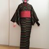 歌舞伎カラーの横段ウールに侍結びアレンジ　お助けグッズで夜会巻き　今日の猫さん