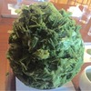 茶寮 つぼ市製茶本舗 なんば店｜でか！アフロ？！抹茶時雨