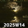 取り繕う (2025W14)