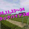 2024,11,23～24 トラックバイアス結果 (東京競馬場　京都競馬場)