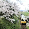 再び琴電挿頭丘駅で桜をいれて