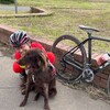 土曜日　CX小貝川往復