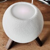 草津の総会に出席してきたことと電車で俳句をひねったこととHomePod miniがきたこと