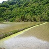 なんとかかんとかやってます