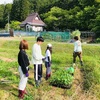 定植祭り