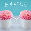 心から感謝できたときのお話☺️