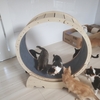 こんなの いただいたよ