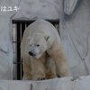 登場