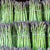 Buy Fresh and Nutritious Green, White and Purple Asparagus from Reputed Suppliers