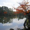 Scene #2: Color of leaves in Kenrokuen / 紅葉の兼六園