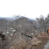 tochikoな山歩き　雪舞う