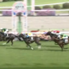 ４月１９日（土）　勝負・注目レース結果 　ー◎５番人気２着！