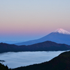 大観山の雲海