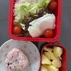 今日のお弁当🍱🍴息子卒業式休みで娘のみ