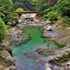 渓流で水浴びしたいなって／神奈川山北町中川温泉付近にて