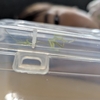 【なぜそこに！！】家にカマキリがいた【小さな発見】
