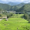 【和歌山】日本の棚田百選！日本情緒あふれる美しい「あらぎ島」へ！