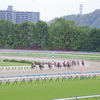 新潟芝1400m（2歳戦）種牡馬別ランキング