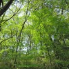 浅間山公園（東京都府中市）