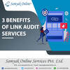 3 Benefits of Link Audit Services