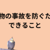 小動物の事故を防ぐためにできること