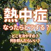 熱中症になったらどこを冷やす？水分補給の飲み物作り方は？対処処置や治療を解説