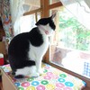 栗子だより🌰３歳１１ヶ月