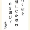 行く秋を 惜しむか蝶の 日を浴びて