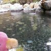 山間の露天風呂　気持よかったです