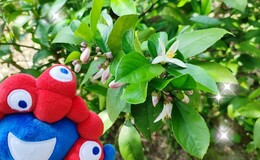記事を見る