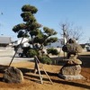 石塔復帰チャクチャク