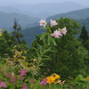 白山高山植物園オープンガーデン（最終回）