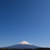 ３月２０日から３０日の富士山・桜かくし