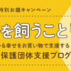 今では立派な婆ちゃん猫