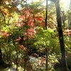 もみぢの湯河原―万葉公園