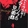 「カラマーゾフの兄弟」　理解できない事にこそ偉大な価値がある