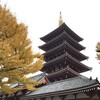 五重塔の上