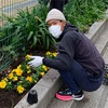 花の植え替え