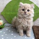 30代から始める趣味で人生を楽しく!